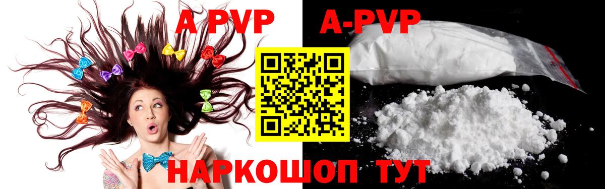 Пугачёв  A PVP крисы CK  A PVP мука  Вход с VPN 