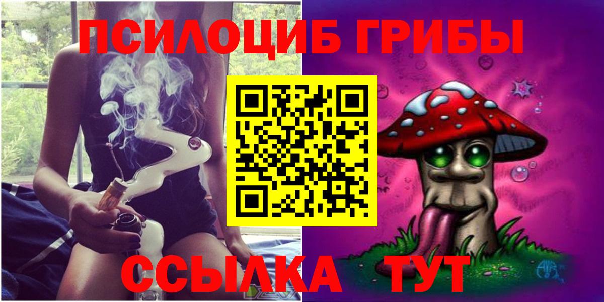 наркошоп  Вход с VPN  Пугачёв  Псилоцибиновые грибы Cubensis 