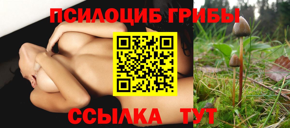Галлюциногенные грибы Psilocybine cubensis Пугачёв